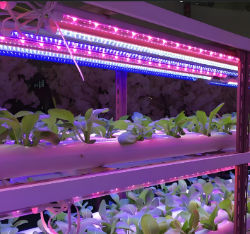 9植物生長燈管.png