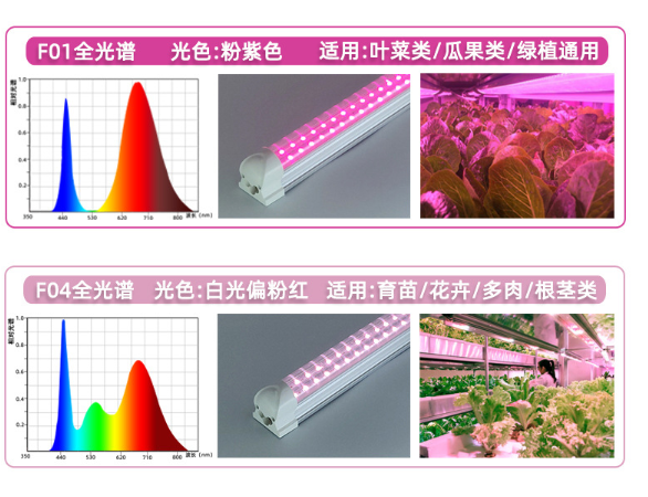 不同比例光對植物作用.png